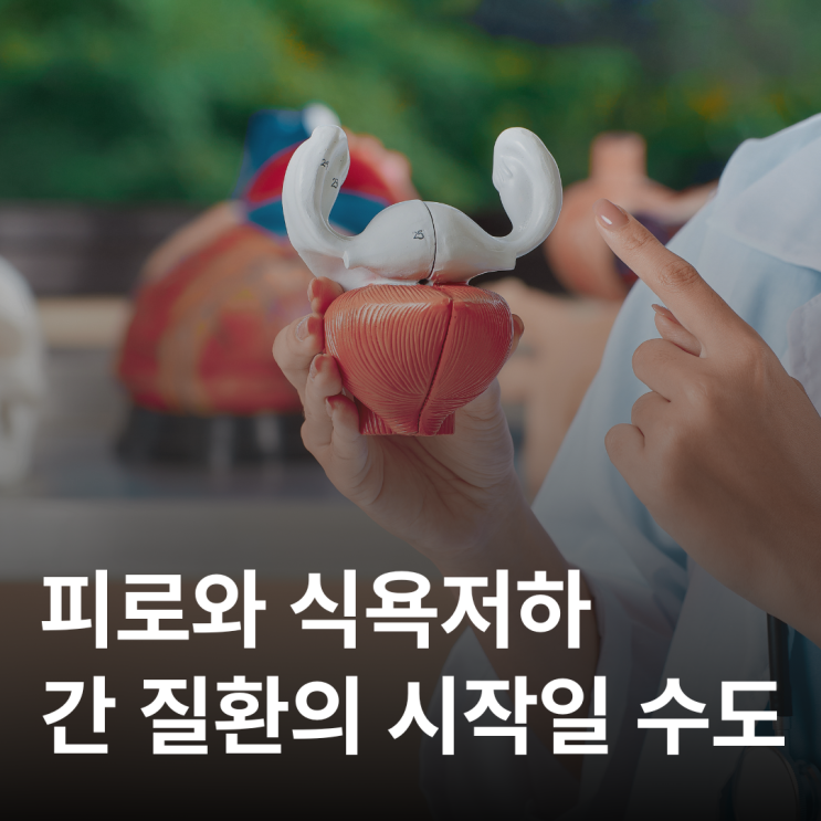  피곤함이 일상이라면 간 건강부터 확인하세요