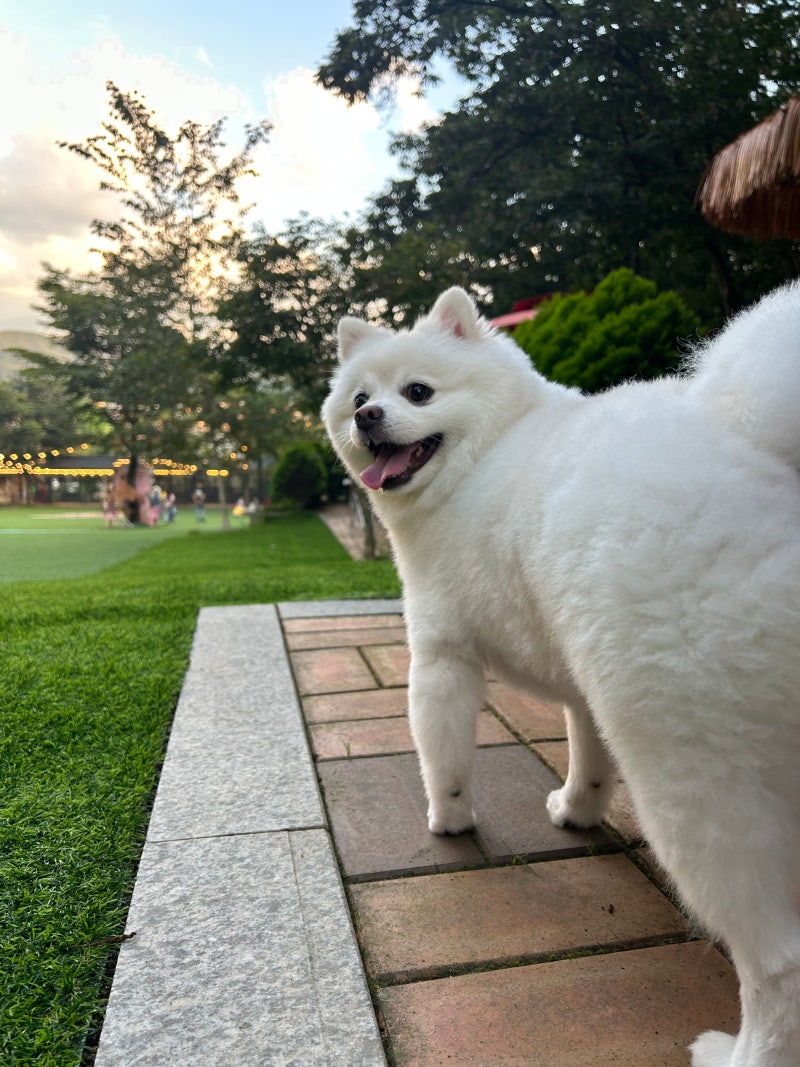 사진 3