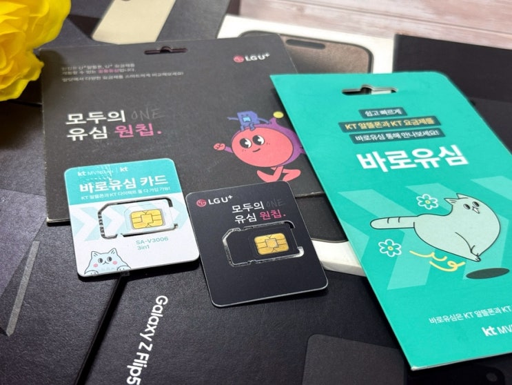  울산선불폰 가입 절차와 요금제 한눈에 정리