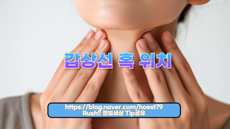   갑상선 혹 위치 — 정확히 알아야 하는 이유와 관리법