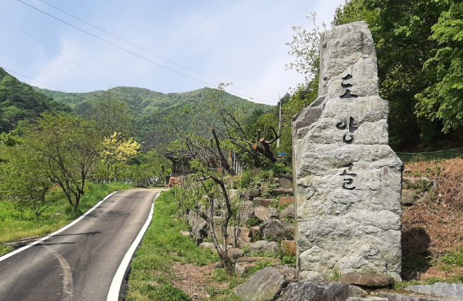 앙골 사진 2