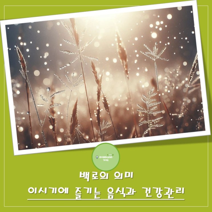  "백로", 여름의 뜨거움을 걷어내고 청량한 가을의 시작을 알리는 절기, 이 시기에 즐기는 음식과 건강관리 | 관련 속담과 풍습