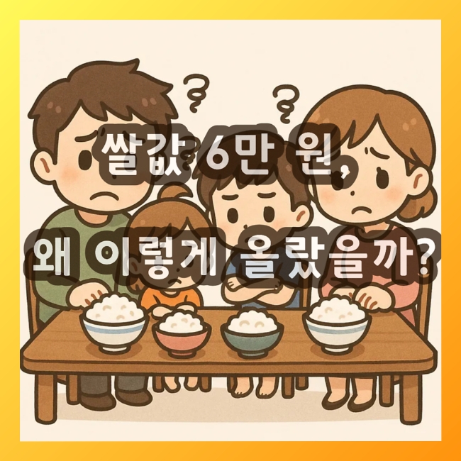  요즘 쌀값 왜 이렇게 오를까? 대한민국 쌀 가격 급등 이유 총정리