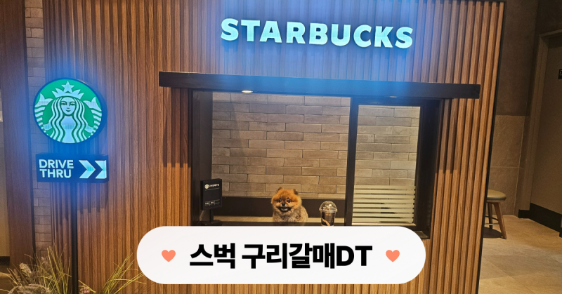 사진 6
