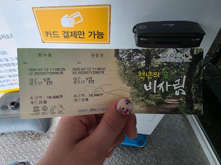  제주도 여행, 사려니숲길 대신 비자림을 추천하는 이유