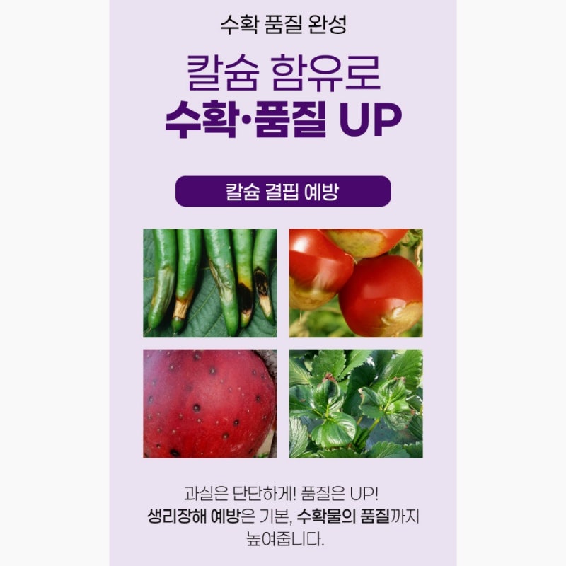 업 10KG 질산태질소 엔케이 NK 마그네슘 칼슘 복합 비료, 고추·마늘 웃거름으로 최고!