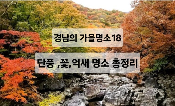  경남의 가을, 이 18곳으로 떠나보세요—단풍·꽃·억새 명소 총정리”