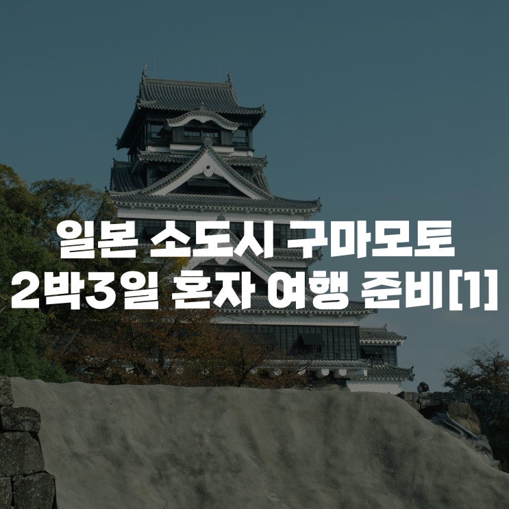  [일본 구마모토 여자 혼자 여행 준비 1] 여행자보험, E-sim(이심) 비교 후 구매, 사용법 후기