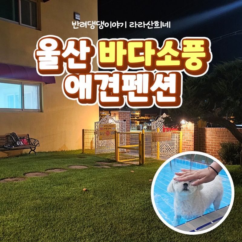 사진 3
