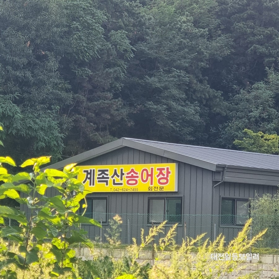 계족산송어장 사진 4