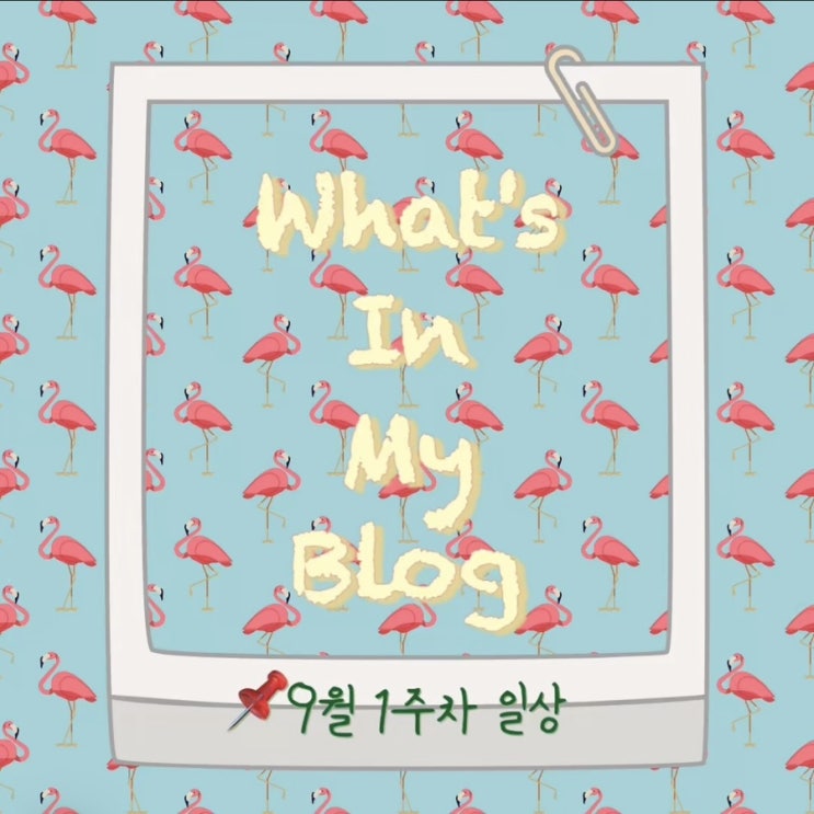  9월 1주 차 일상 정리 왓츠인마이블로그 블챌