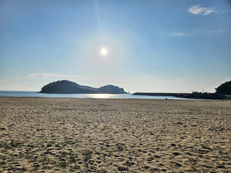 사진 8