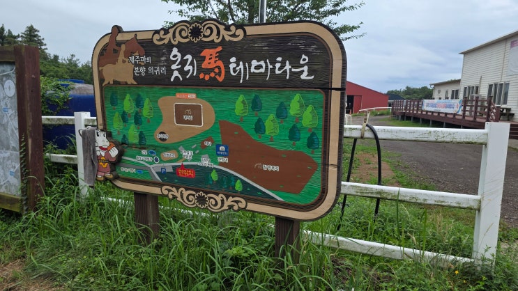  제주 서귀포 소랑 ATV 체험기 – 민오름 포토존이 다 했다!