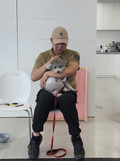사진 5