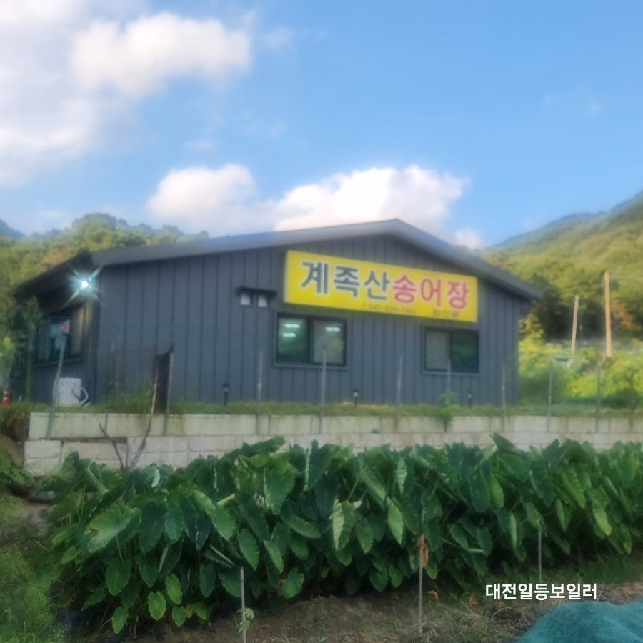 계족산송어장 사진 3