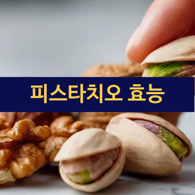 피스타치오 효능 | 브라질너트 효능 | 호두 효능 | 견과류 효능