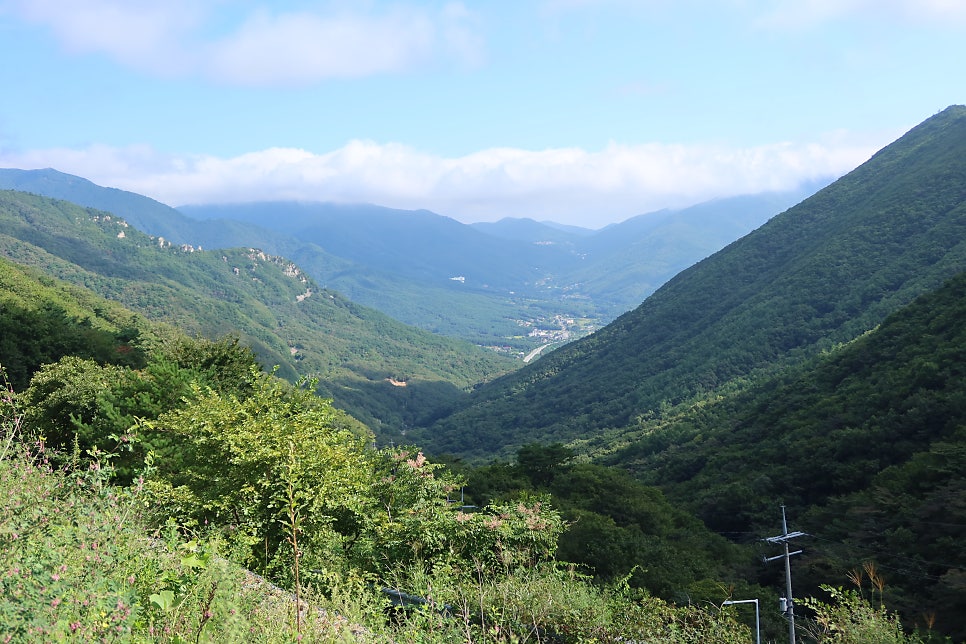 오두산 사진 5