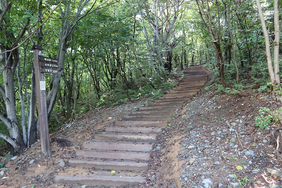 오두산 사진 8
