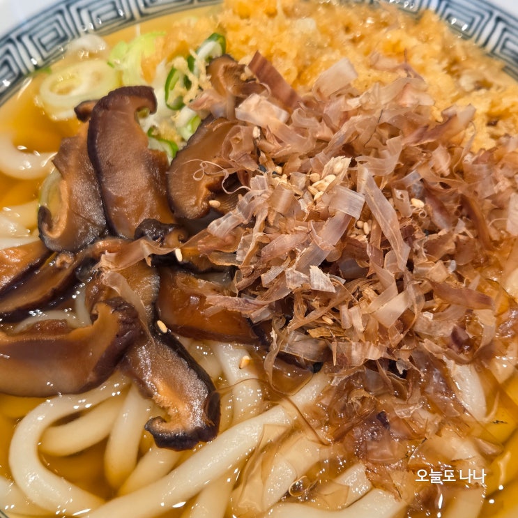  차병원 밑에 일산 냉우동 맛집?! 우동키노야 일산차병원점 :)