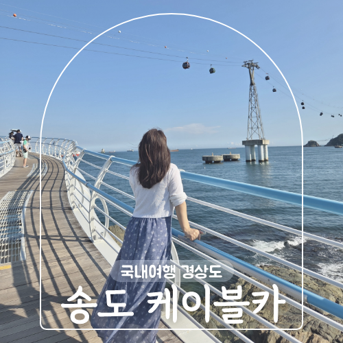 사진 5