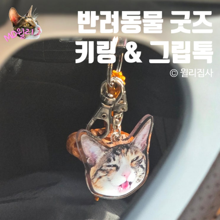  반려동물 소량 굿즈 제작 고양이 강아지 그립톡 키링 후기