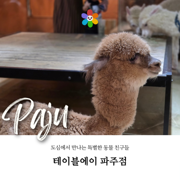  파주 아이랑 초등학생실내체험 테이블에이 파주점 실내 동물원
