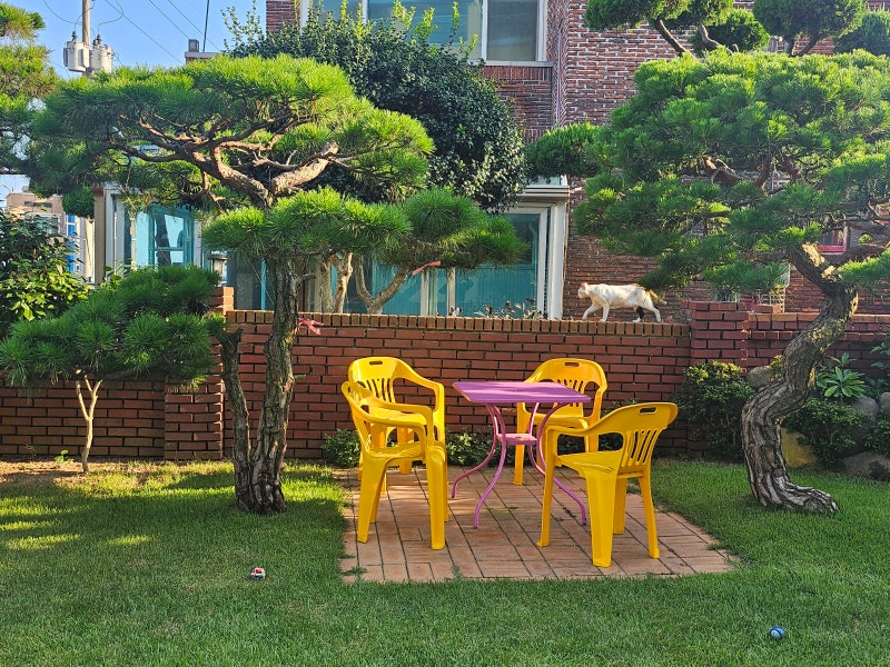 사진 4