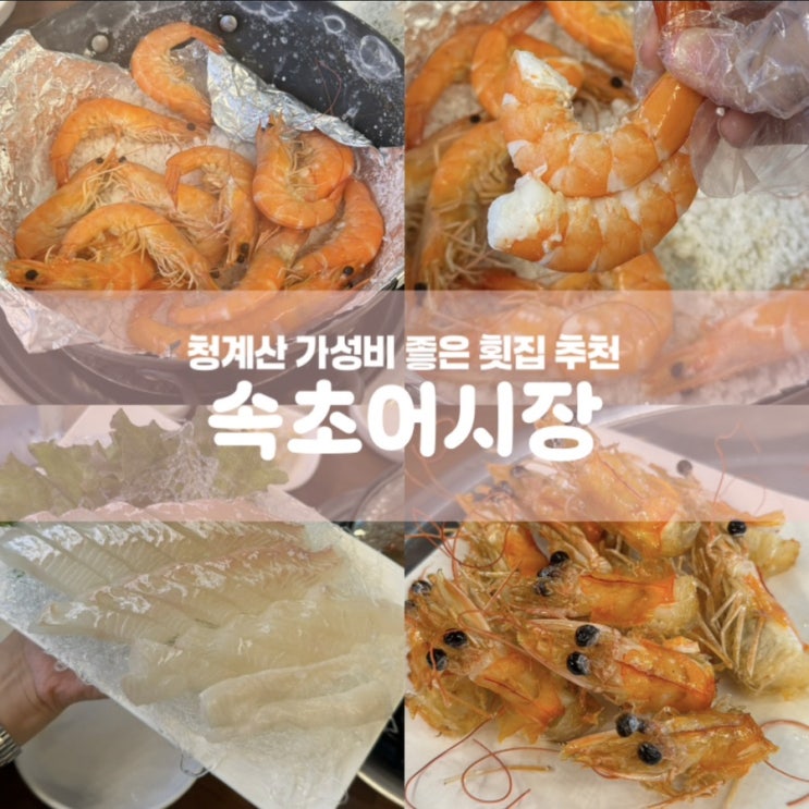 청계산 맛집 속초어시장 가성비 횟집 추천 대하구이