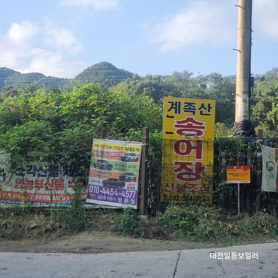 계족산송어장 사진 2