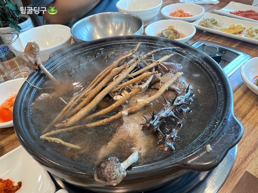 또오리 사진 5