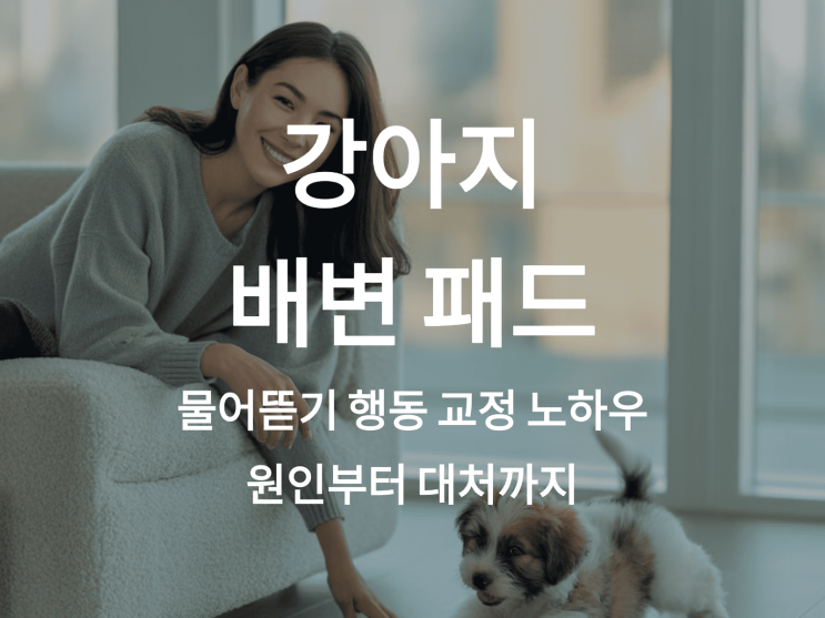  강아지 배변 패드 물어뜯기 행동 교정 노하우: 원인부터 대처까지