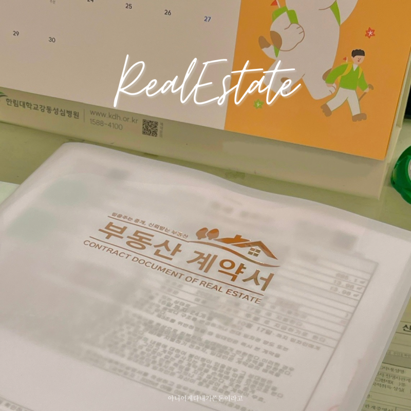 내집스캔 후기 내돈내산 전세사기 예방 서울 반전세 아파트 오피스텔 빌라