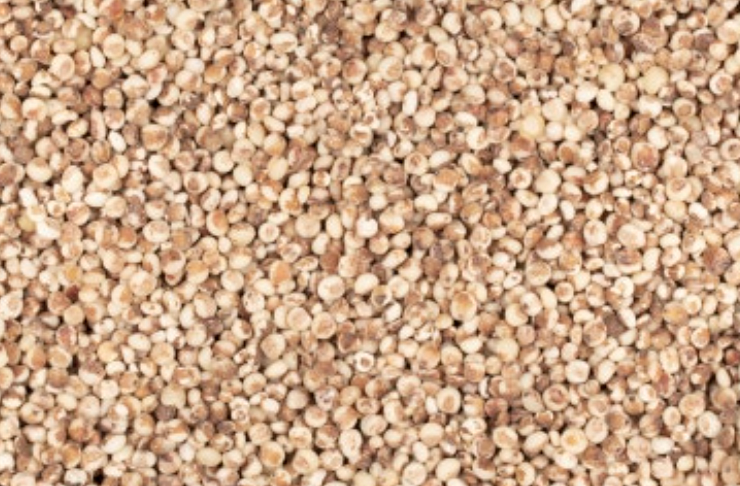  [토종곡물백과 : 비목수수] 비목수수와 Tasting note