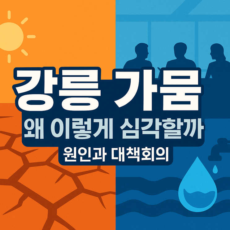 <b>강릉 가뭄</b>, 왜 이렇게 심각할까? 원인과 대책회의