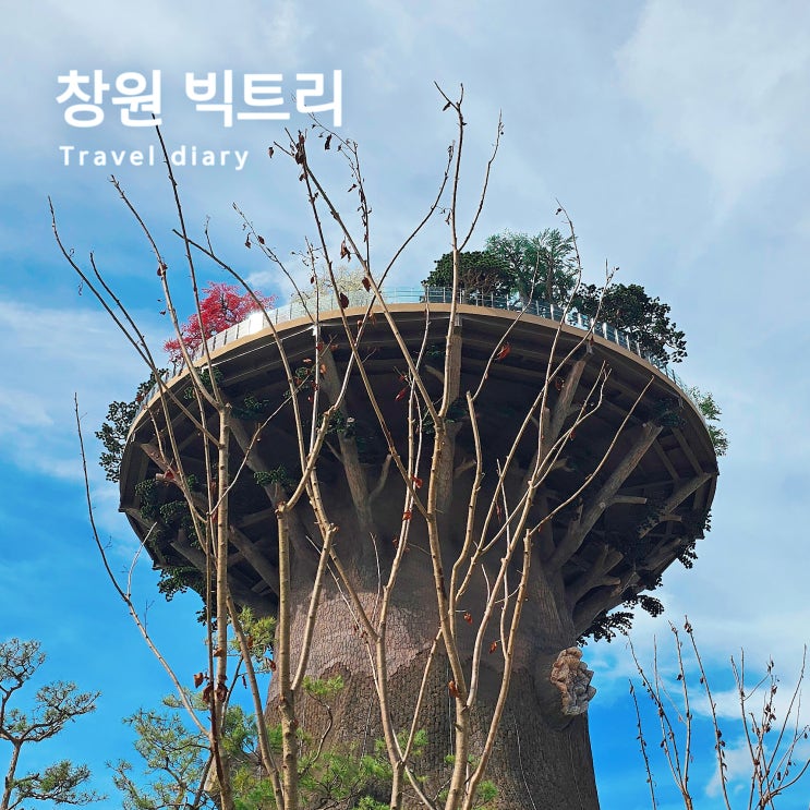 <b>창원 빅트리</b> 임시개방 대상공원 전망대 방문 후기
