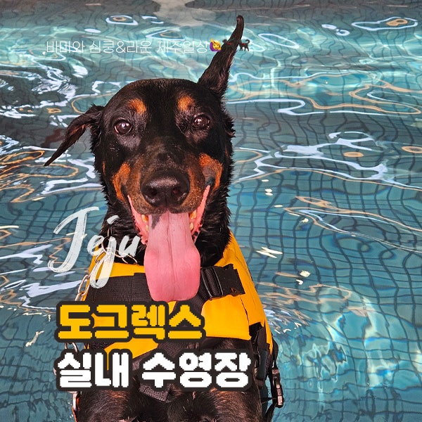 사진 4