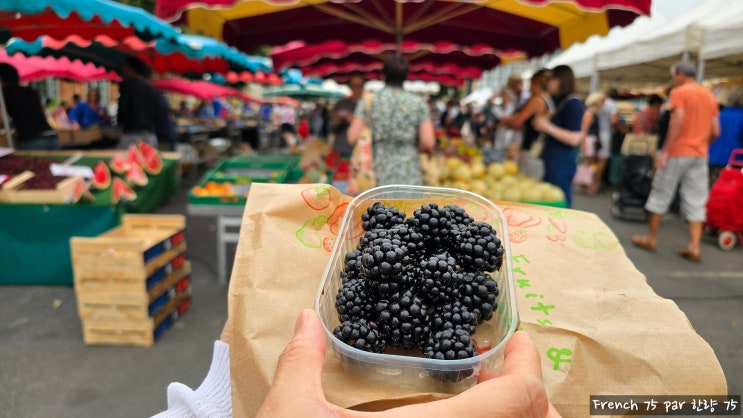  [2025년 프랑스 여행 4] 렌(Rennes) 2부: 리스 시장(Marché des Lices)