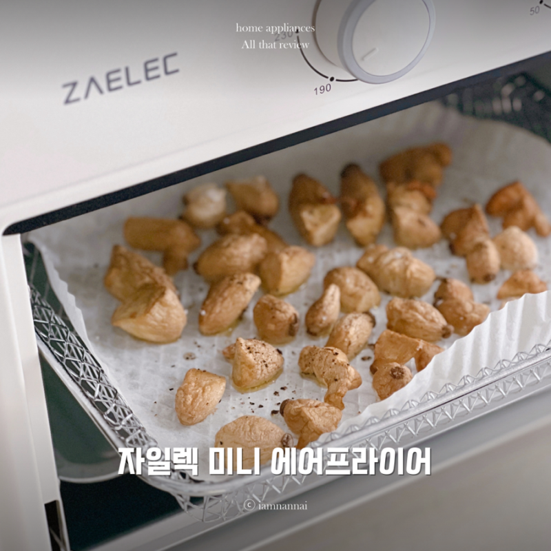 컴팩트한 자일렉 오븐형 에어프라이어 12ℓ 내돈내산 리뷰