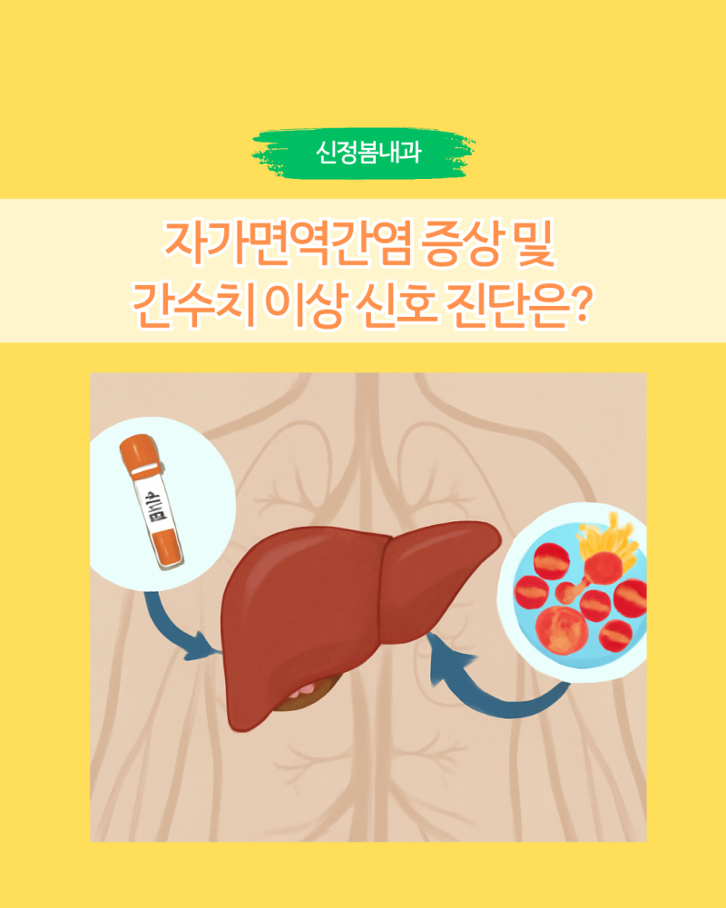 자가면역간염 증상 및 간수치 이상 신호 진단은?