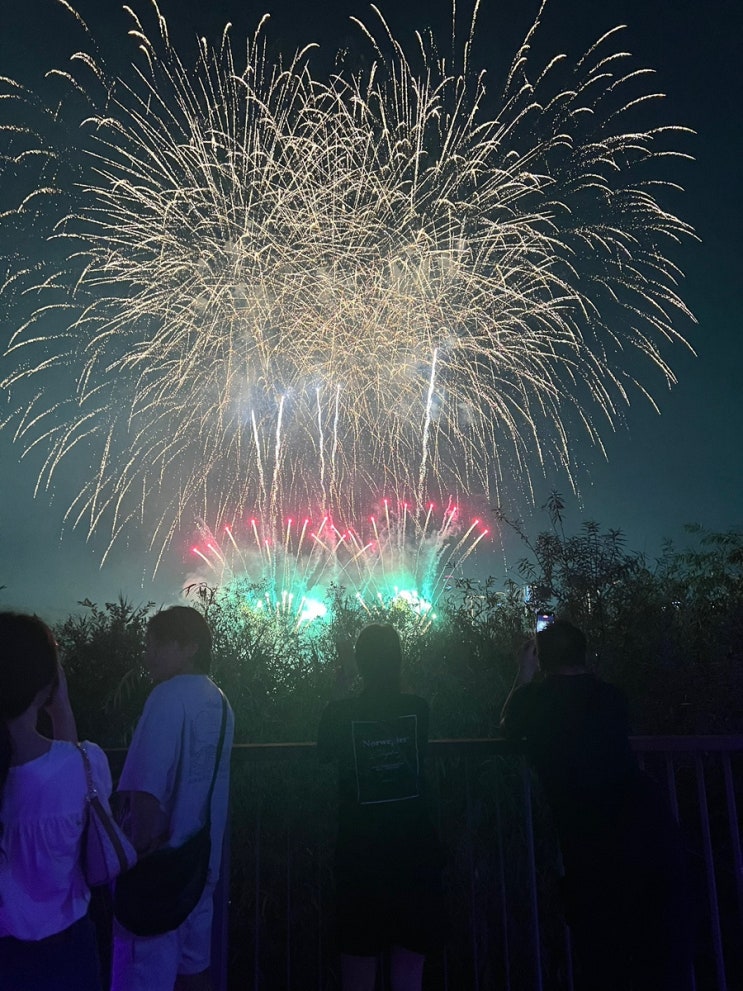 [광교 호수 공원] 2025 수원 드론 불꽃축제
