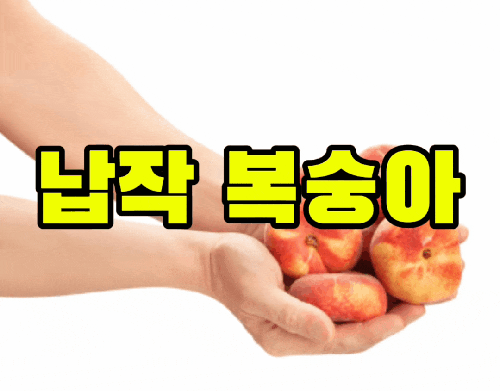 납작복숭아 제철 먹는법 가격 정리