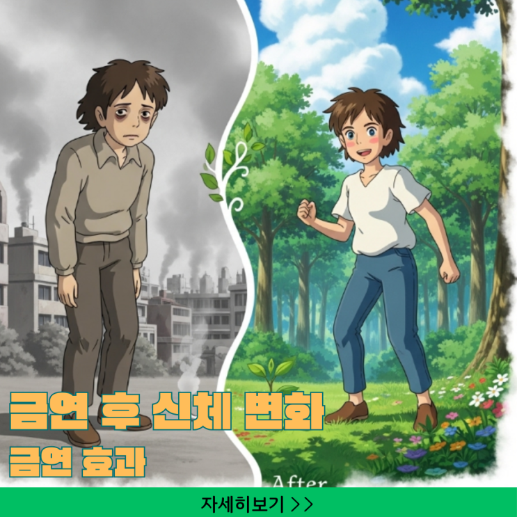  금연 후 신체변화와 금연 효과, 7단계 총정리 가이드