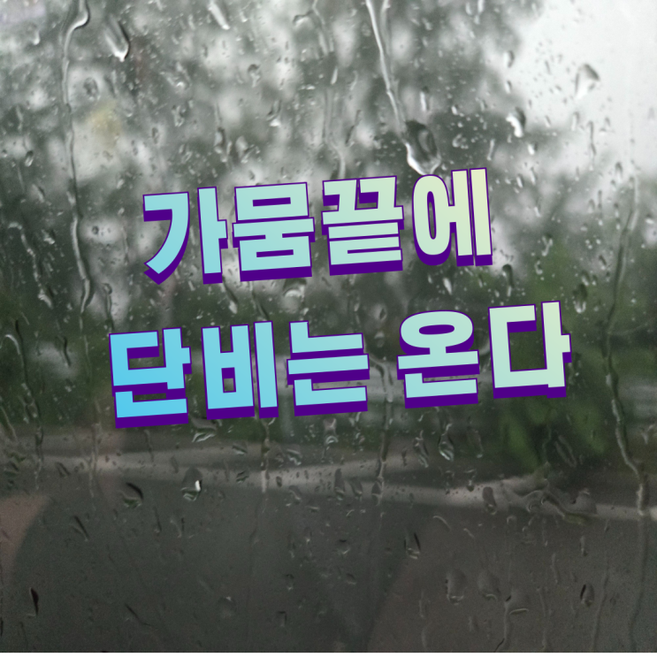  강릉 가뭄과 집중폭우, 안전한 자동차 운전 수칙까지 완벽가이드