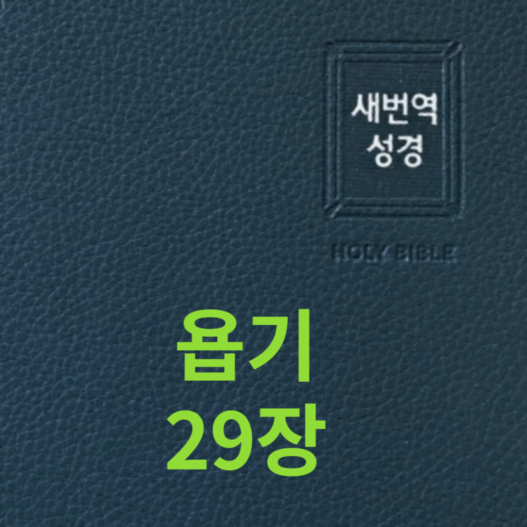  욥기 29장
