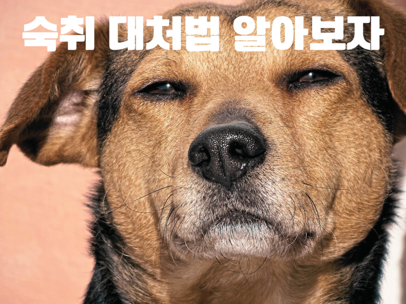 숙취 심할 때, 대처법 지압법 알아보기