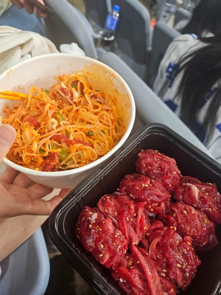  [6/27~29] 삼성라이온즈 장례식은 이때부터였다... 삼성 키움에게 충격의 스윕패 주말 직관 후기 ㅣ 고척스카이돔 직관 후기