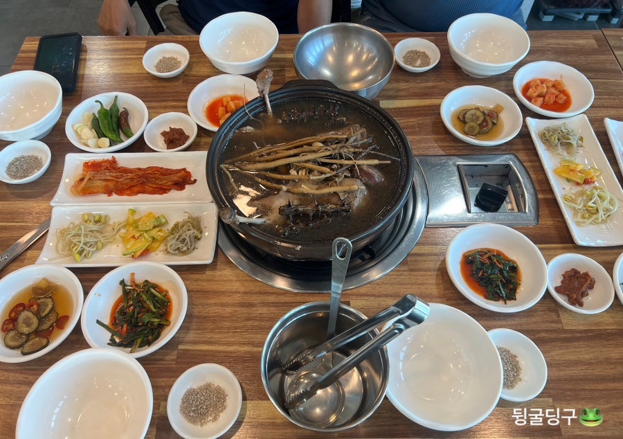 또오리 사진 4