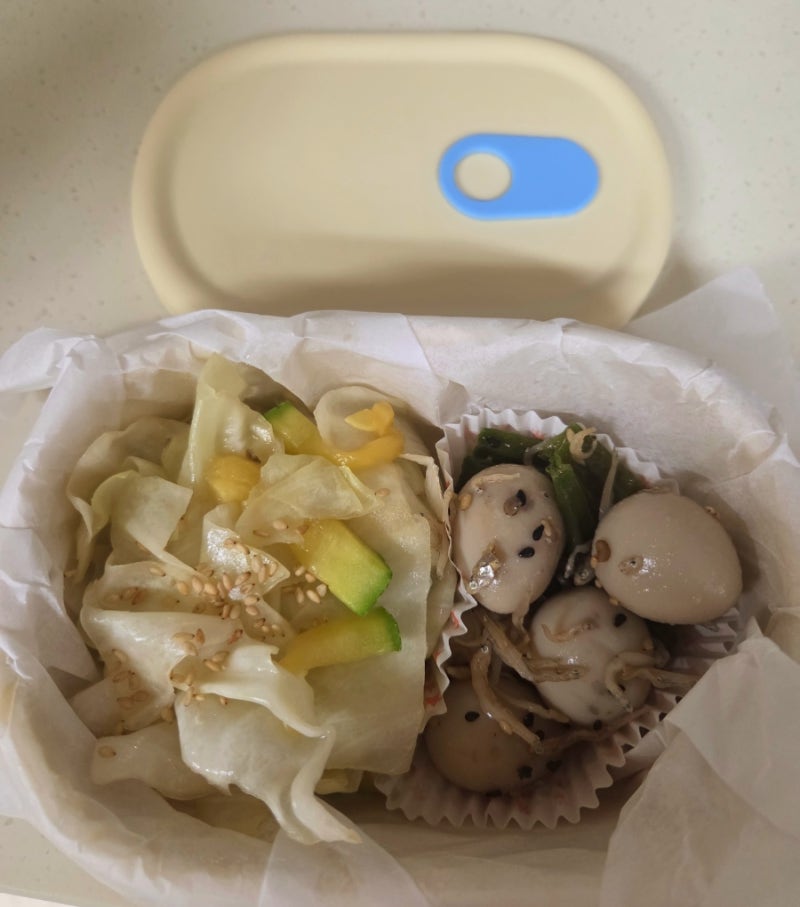 [다이소] 도시락 통, 실리콘 용기 타원형 500ml, 직장인 도시락통 추천