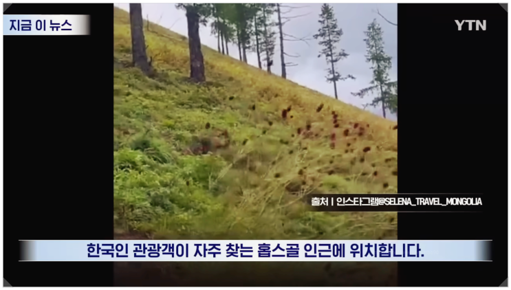  인생샷 찍다 여행유튜버 인플루언서 사망 몽골 화산 추락사고