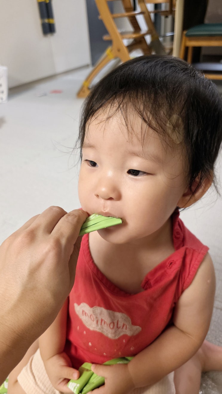  베네키드 브리츄 직접 먹여보고 쓰는 찐 솔직 후기